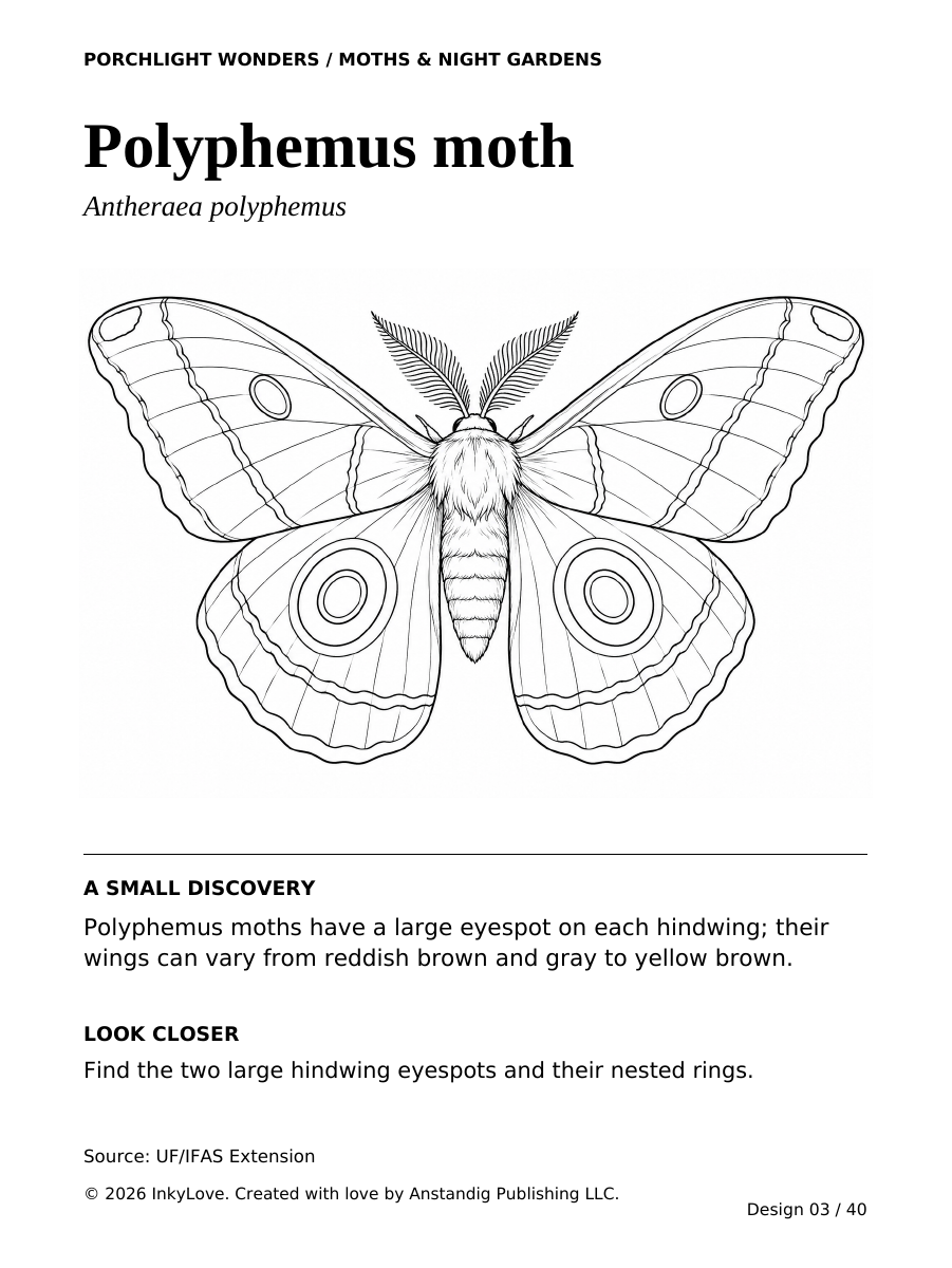 Actual Polyphemus moth coloring page from Porchlight Wonders