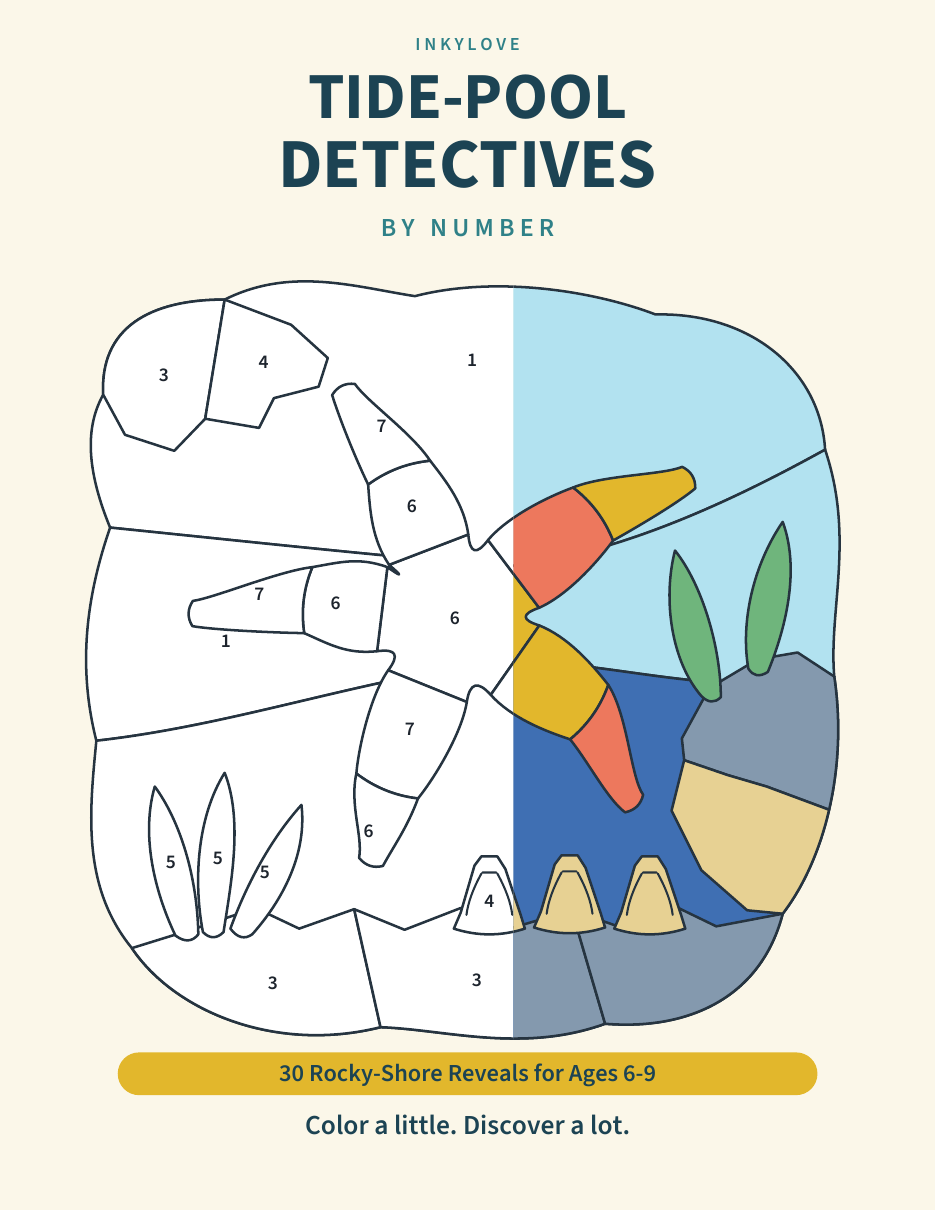 Book cover with a colorful sea star on a rocky shore